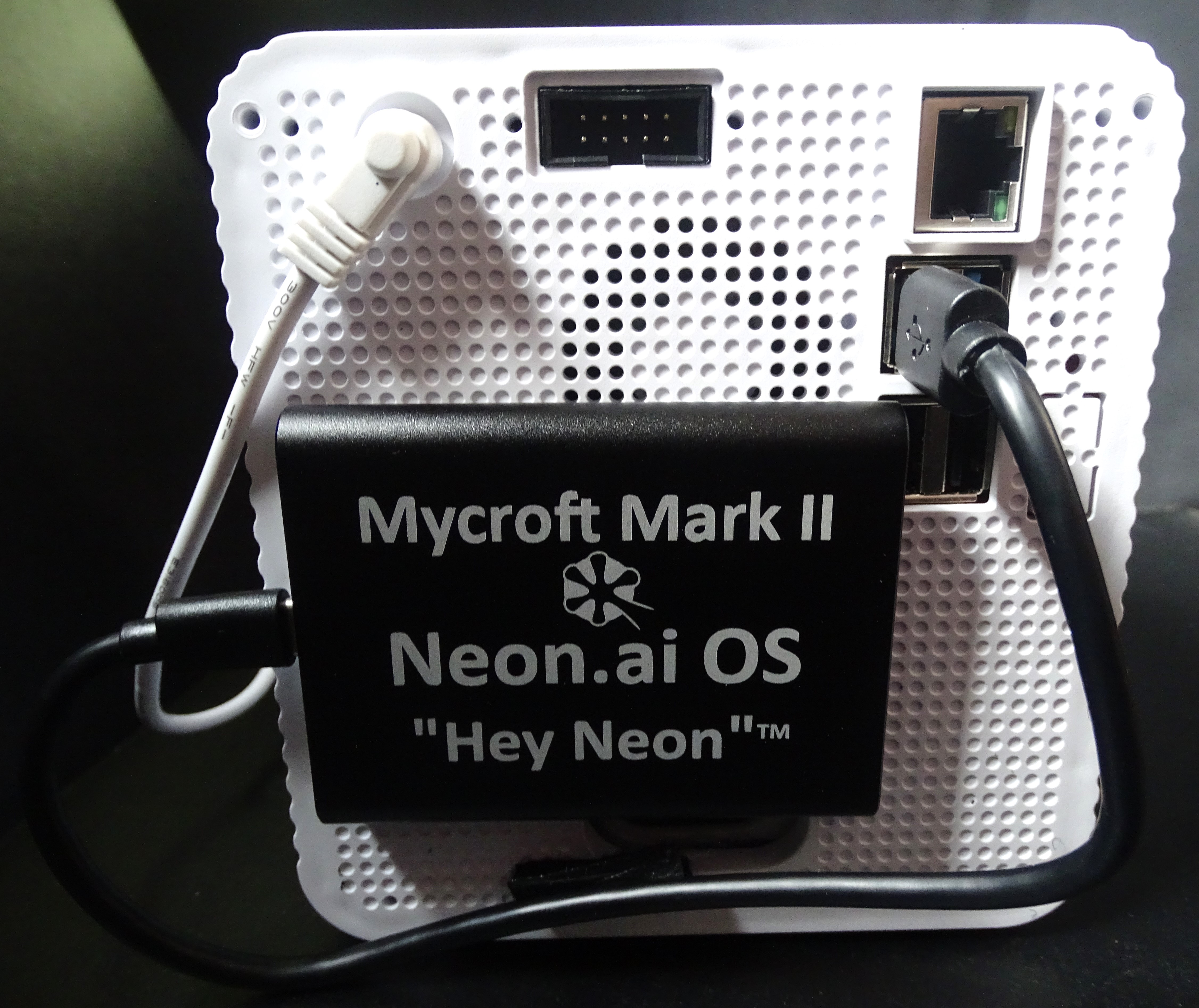 Neon branded SSD drive attached to the rear of a Mycroft Mark II